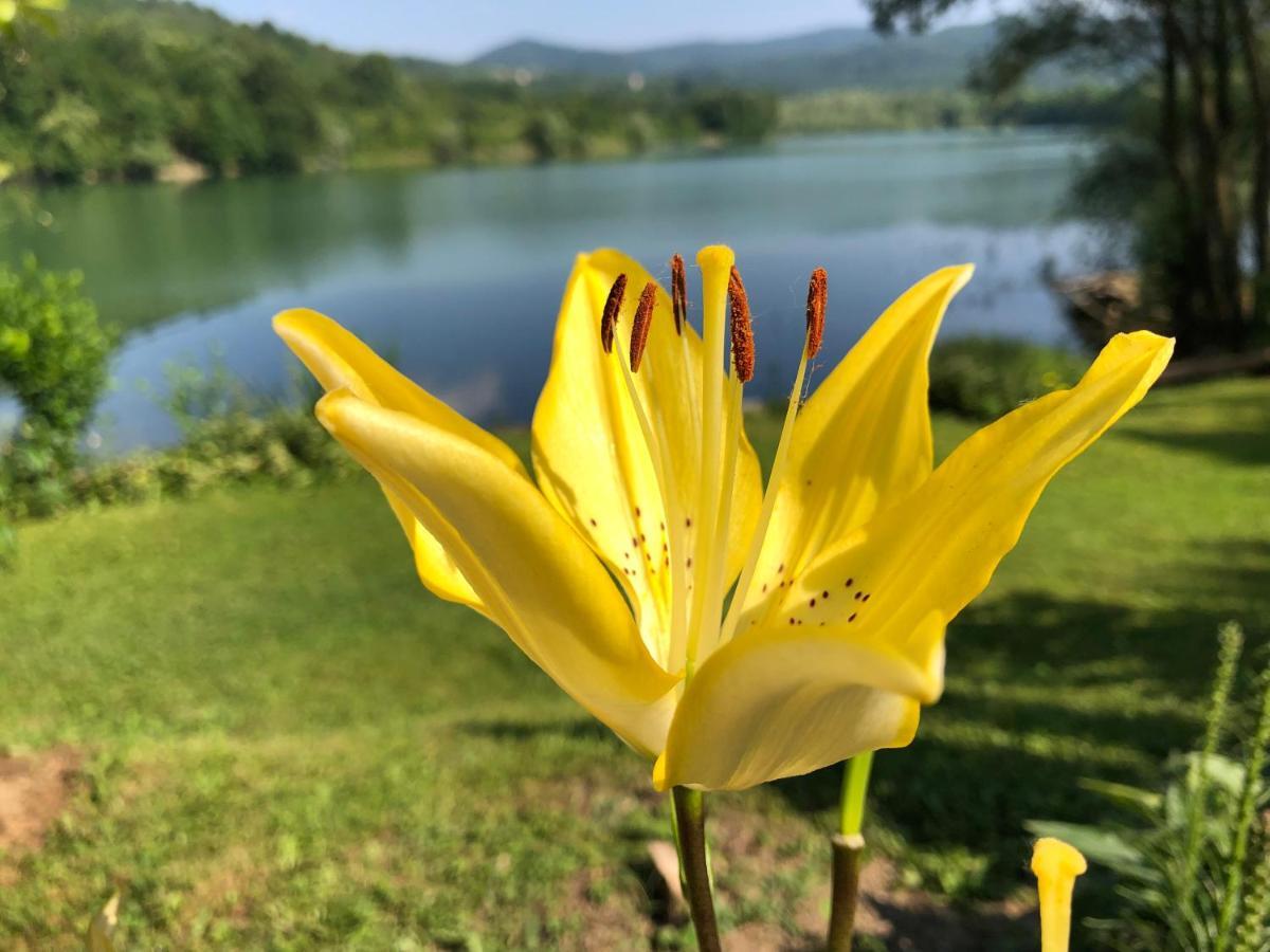 Jezero Snijeznica - Vikendica Villa Luaran gambar